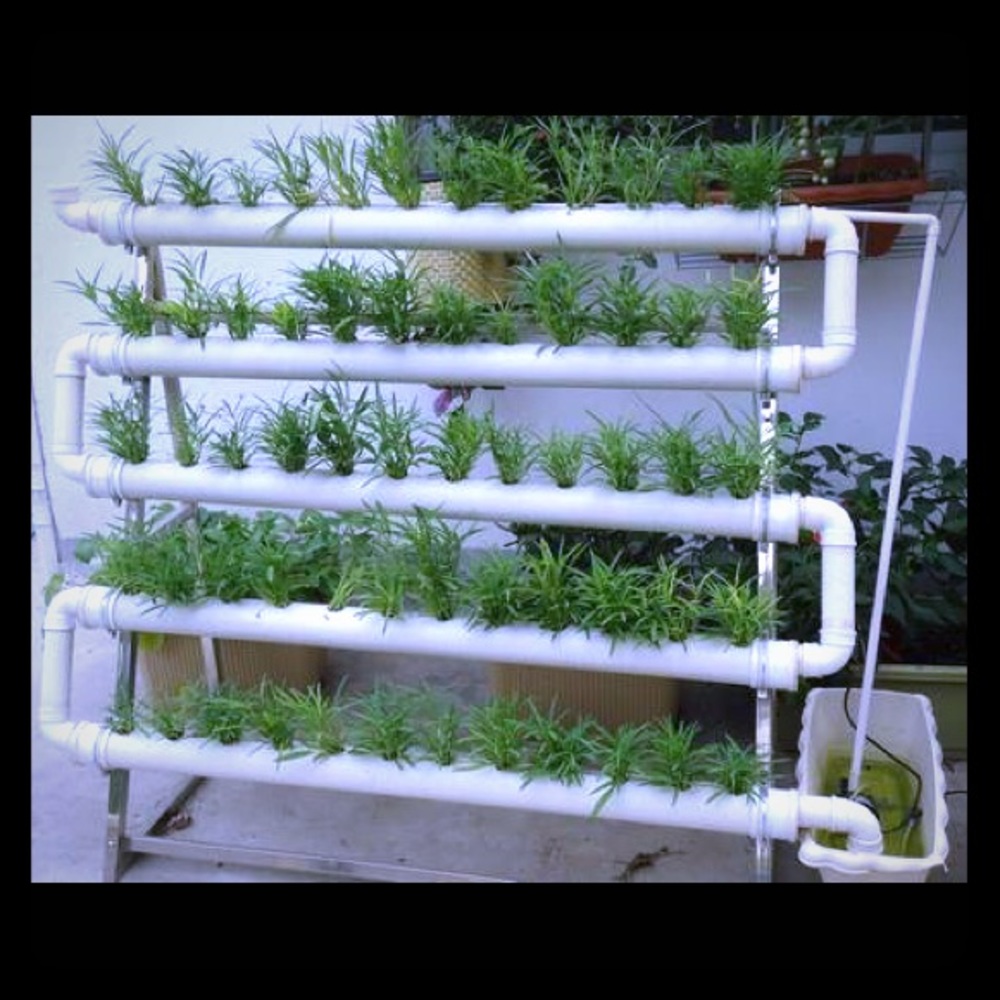 Horticulture Hydroponic indoor plant garden